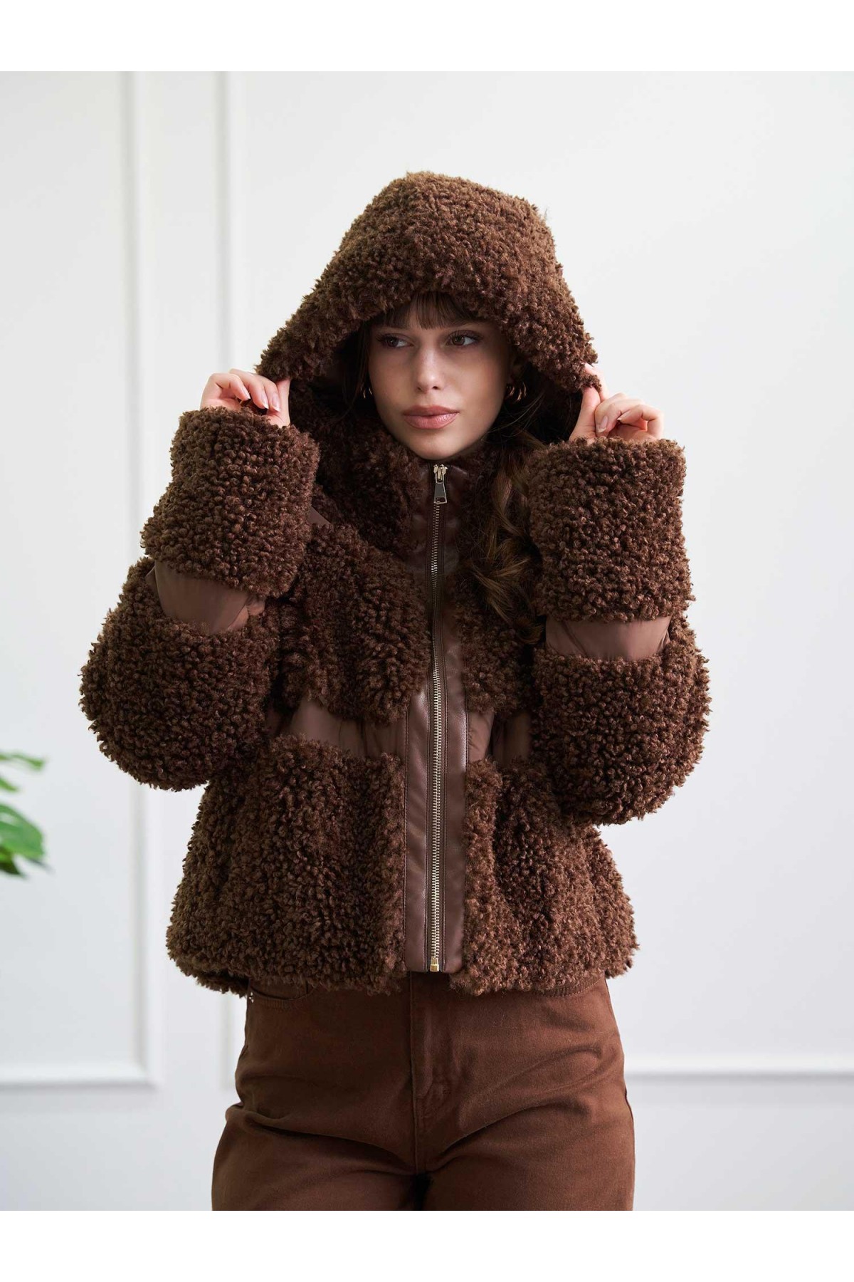 160958 Teddy Mont BL251126