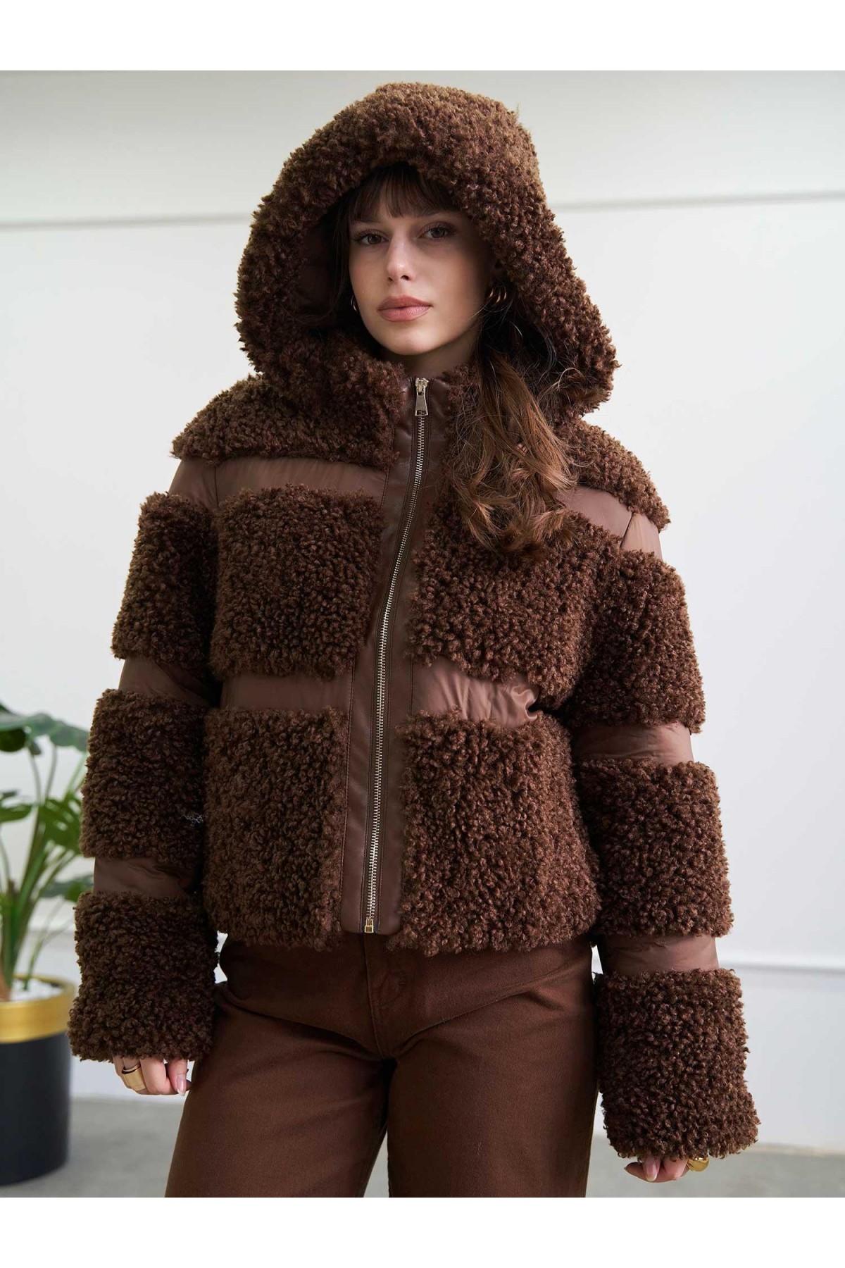 160958 Teddy Mont BL251126