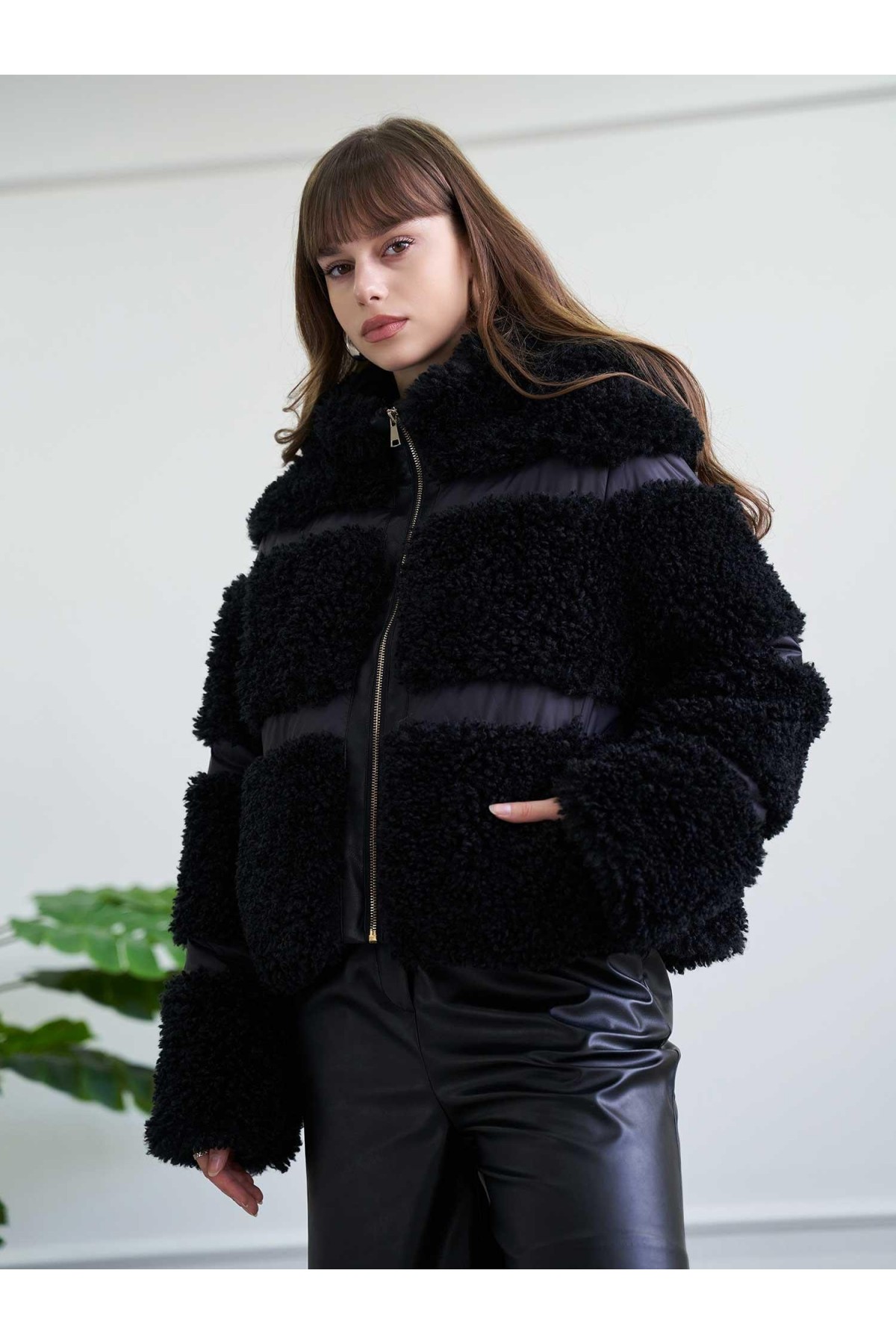 160958 Teddy Mont BL251126
