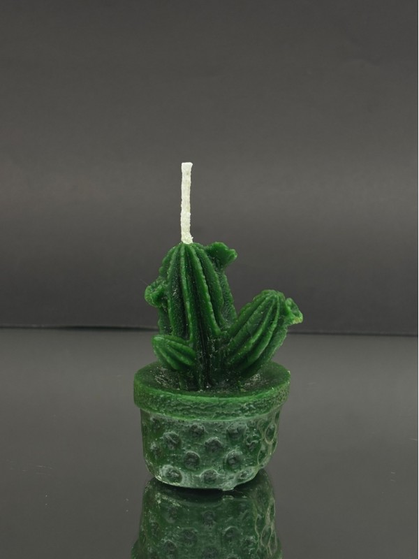 Decorative Candle with Potted Cactus Figurine -Forest Green