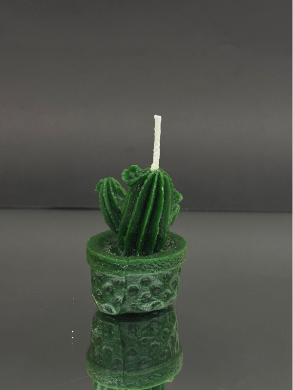 Decorative Candle with Potted Cactus Figurine -Forest Green