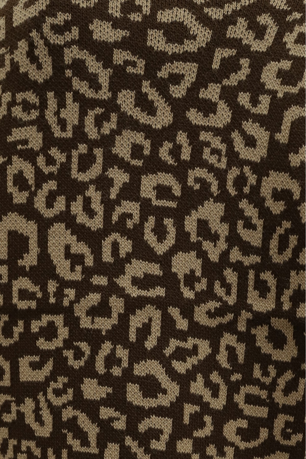 Knit Poncho with Tassel  -Leopard