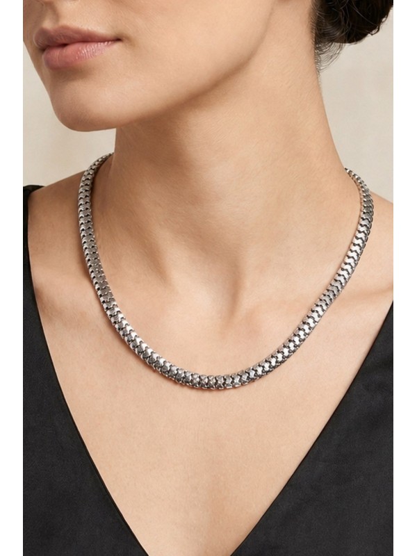 Gümüş Renk Tırtıl Zincir Unisex Çelik Kolye - 3878